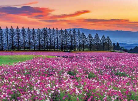 和の彩り/9月