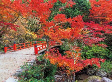 和の彩り/11月