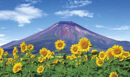 富士-霊峰の四季-（2ヶ月文字）-4