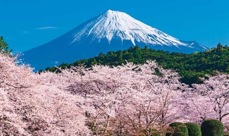 富士-霊峰の四季-(2ヶ月文字)/3月4月