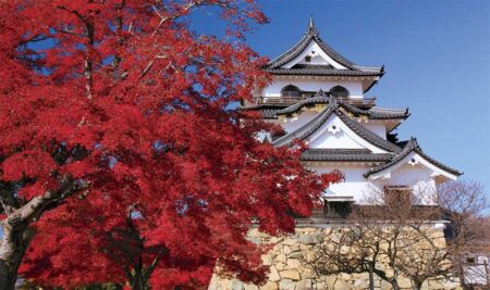 四季の日本（2ヶ月文字）-5