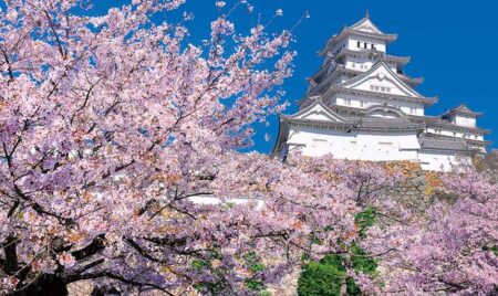 四季の日本(2ヶ月文字)/3月4月