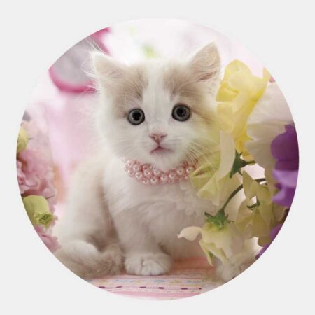 ハッピーチャット-いぬねこことば-（3ヶ月文字）-3