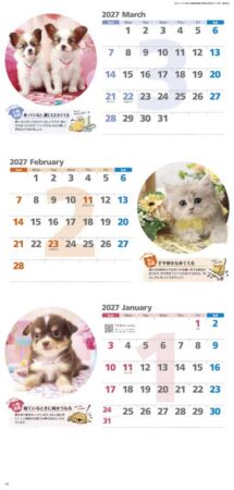 ハッピーチャット-いぬねこことば-（3ヶ月文字）-12