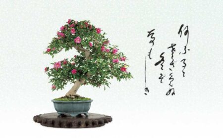 一木一草-2