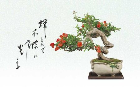 一木一草-7