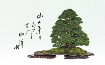 一木一草-8