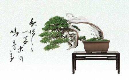 一木一草-10