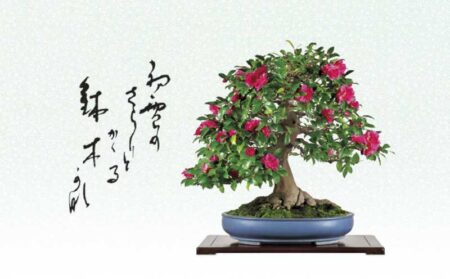 一木一草-12
