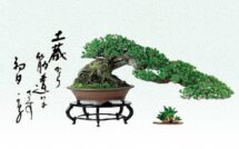 一木一草