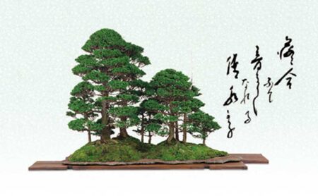 一木一草/7月