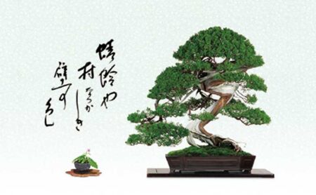 一木一草/8月
