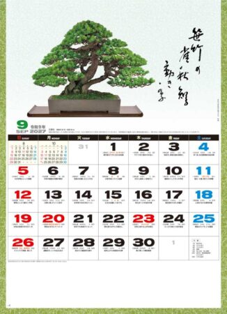 一木一草/9月
