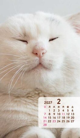 ポケットカレンダー・猫ねこ（メモ付）/2月