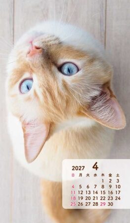 ポケットカレンダー・猫ねこ（メモ付）/4月
