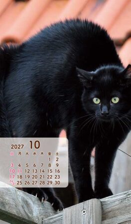 ポケットカレンダー・猫ねこ（メモ付）/10月