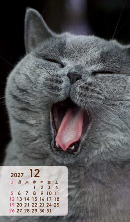 ポケットカレンダー・猫ねこ（メモ付）/12月