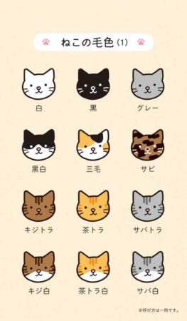 ポケットカレンダー・猫ねこ（メモ付）/ねこの毛色（１）