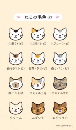 ポケットカレンダー・猫ねこ（メモ付）/ねこの毛色（２）