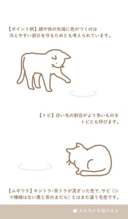 ポケットカレンダー・猫ねこ（メモ付）/おもちゃも描けるよ