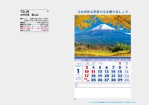台付月表 富士山