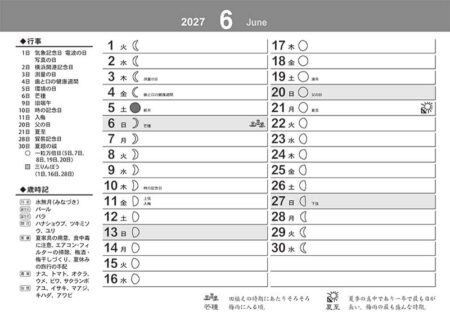 卓上M・デザイン文字/6月裏面