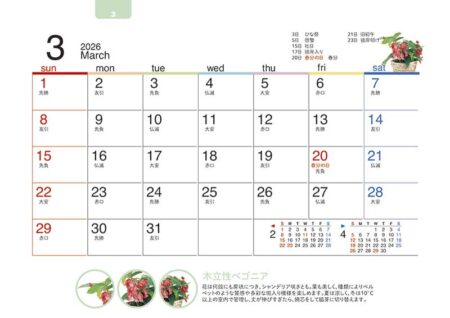 卓上オールペーパー・緑のくらし-6