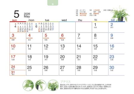 卓上オールペーパー・緑のくらし-8