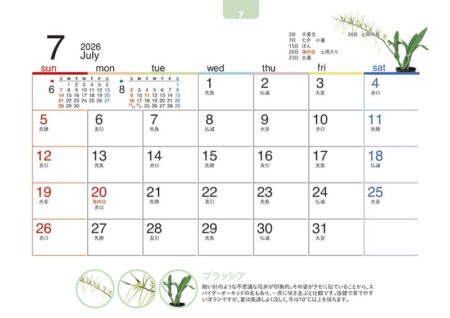卓上オールペーパー・緑のくらし-10