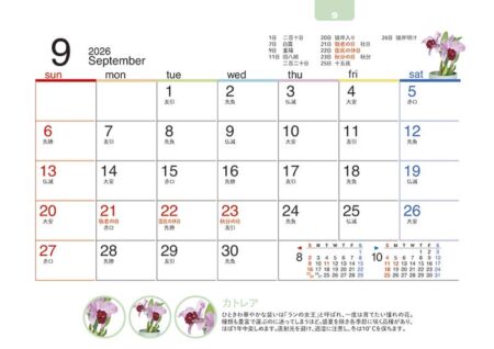 卓上オールペーパー・緑のくらし-12