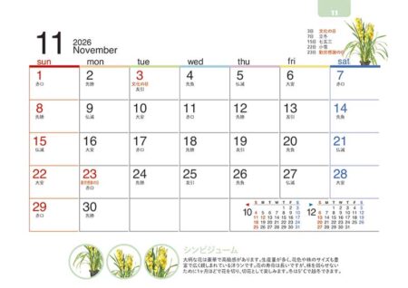 卓上オールペーパー・緑のくらし-14