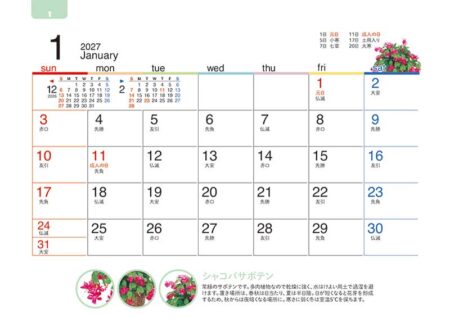 卓上オールペーパー・緑のくらし/1月