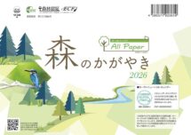 卓上オールペーパー・森のかがやき