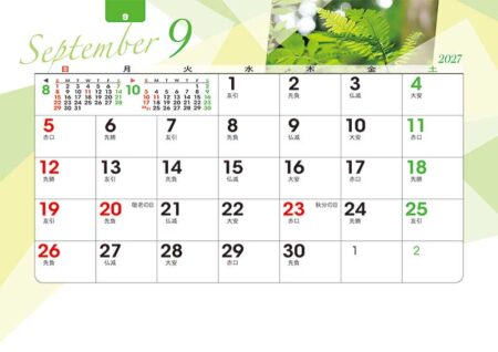 卓上オールペーパー・森のかがやき/9月