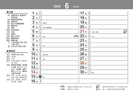 卓上L・江戸千代紙（いせ辰）-14