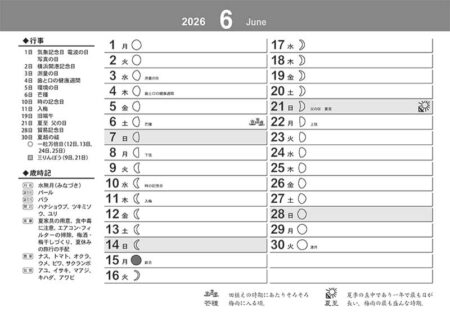 卓上L・幸招き猫カレンダー-14