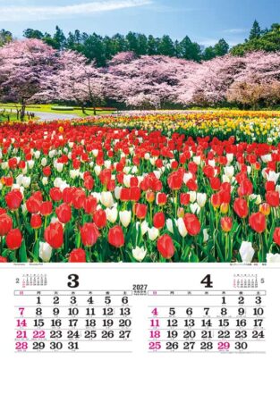 トーハン・DX 日本 フィルム/3月4月