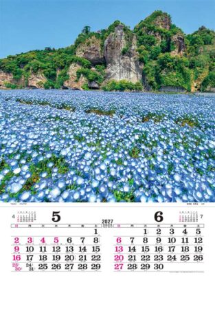 トーハン・DX 日本の情景 フィルム/5月6月