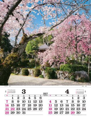 トーハン・DX 庭 フィルム/3月4月