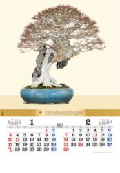 盆栽DX