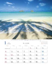 癒しの楽園〜三好和義作品集〜