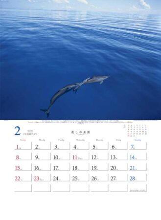癒しの楽園〜三好和義作品集〜-2