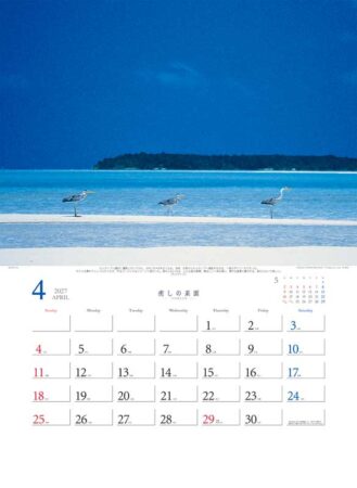 癒しの楽園〜三好和義作品集〜/4月
