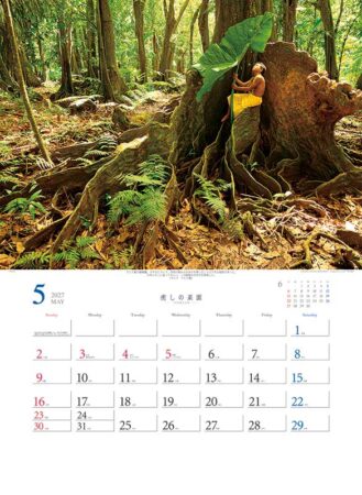 癒しの楽園〜三好和義作品集〜/5月