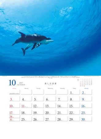 癒しの楽園〜三好和義作品集〜/10月