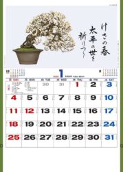 盆栽逸品集
