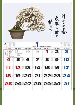 盆栽逸品集-1