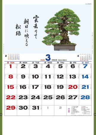 盆栽逸品集-3