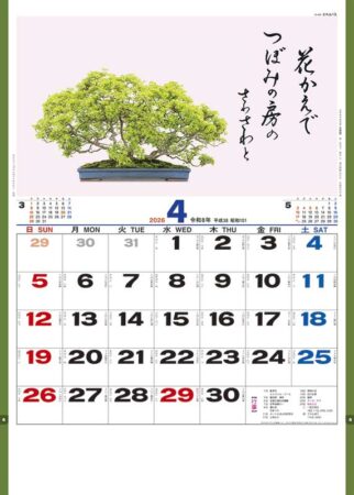 盆栽逸品集-4