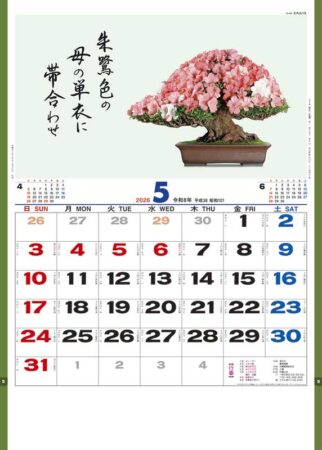 盆栽逸品集-5